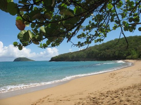 Une plage à Basse-Terre en Guadeloupe, aux Antilles mer des Caraïbes ! 