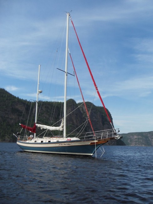 3-489x654.jpg